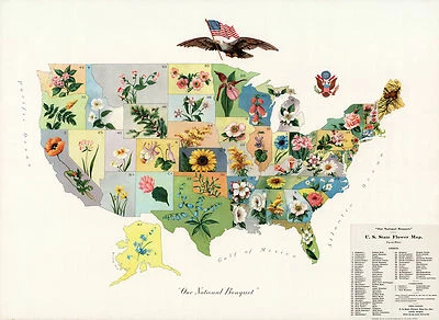 1911 Pictorial Flower Map of the United States Wall Art Poster Print 11"x15" - Image 1 of 2