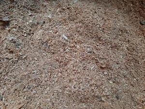 Räucherspäne ERLE 500 ml Räuchermehl für Kugel-Grill, Räucherofen, Smoker - Bild 1 von 4