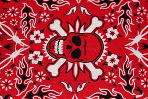 BADDANNA ROTE SCHÄDEL DUNKLE FLAMMEN BANDANA ALEXANDER HENRY STOFFE BAUMWOLLE NÄHEN QUILT - Bild 1 von 5