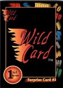 1991-92 Wild Card Wild Card #47 (99276)