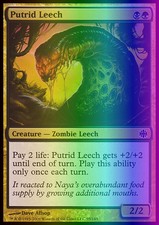 Magic the Gathering MTG Putrid Leech (95) Alara Reborn   LP FOIL