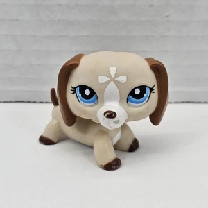 Figura LPS Littlest Pet Shop Dachshund 1491 Crema Blanco Marrón Ojos Azules Perro - Imagen 1 de 10