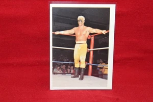 Wonderama Stine RC Rookie # 194 1988 NWA WCW Wrestling Pack fresco - Foto 1 di 2