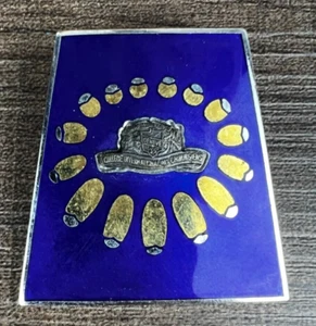 Vintage Pin 16th Biennial International College of Surgeons 1968 Japan Congress - Picture 1 of 4