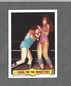 Wendy Richter/Fabulous Moolah WWF Wrestling 1985 Topps #25 Free Shipping on 3+ - Picture 1 of 2