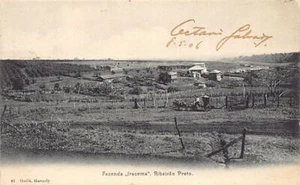 Brasil - RIBEIRÃO PRETO - Fazenda Iracema - Ed. G. Gaensly 81 - Picture 1 of 2
