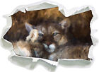 verschlafenes Puma Paar Kunst Pinsel Effekt - 3D-Look Papier Wandtattoo Aufklebe
