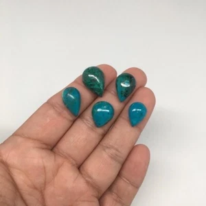 43.5 cts, 5pcs, Natural Teardrop Flat Bottom Chrysocolla Cabochons @Mexico,Lot23 - Picture 1 of 9