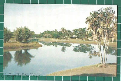 (CWC) Malaya 1950s/1960s Taiping Lake Perak Postcard #3301 Near Mint - Image 1 of 2