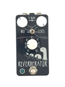 DR. PEDALE RIVERBERO SCIENZIATO CANADA R1 R2 R3 P1 P2 P3 H1 H2 R0 - Foto 1 di 8