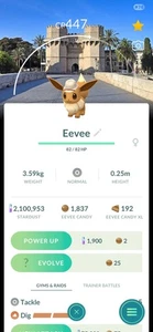 Pokemon Eevee ( Explorer Hat ) ( Valencia Safari Zone ) Go - Picture 1 of 2