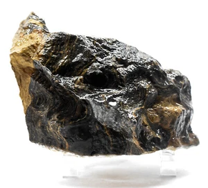 330g Stromatolite Rough Natural Banded Crystal Cluster Algae Fossil Mineral Peru - Picture 1 of 6