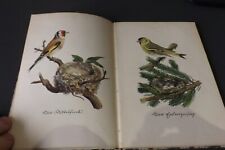 GERMAN BOOK OF BIRDS 24 COLOUR PLATES DAS PLEINE BUCH DER BOGEL UND REFTER