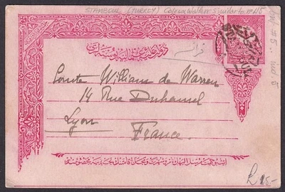 Tarjeta postal Turquía 1901 20pa carmín/rosa usada a Francia. HG #11 Foto 1 de 2