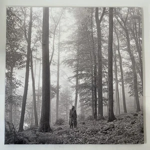 Taylor Swift - Folklore - BEIGE COLOR 2LP VINYL LIMITED EDITION In The Trees - Imagen 1 de 6