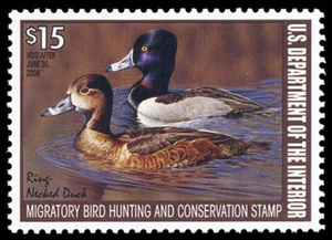 RW74 — 2007 Federal duck stamp - Picture 1 of 1