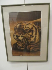VINTAGE FRAMED LITHOGRAPH PRINT OF TIGER - Picture 1 of 5
