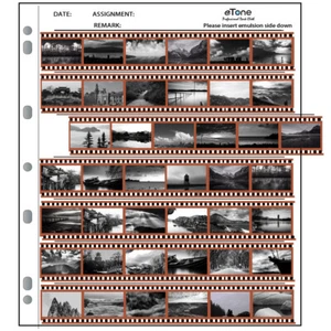 50 Sheets Acid-free Archival Storage Pages Sleeves Slide 35mm 135 Film Negative - Picture 1 of 6