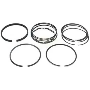 S.40417 Ring Set, Cord Ring, Per Cylinder Fits Landini - Picture 1 of 6