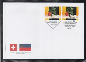 "Liechtenstein Suiza especial 2 estados edición conjunta FDC - ""Horizonte Suiza" - Imagen 1 de 1