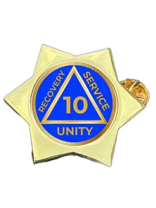 10 Years Sober Alcoholics Anonymous Gold Star Lapel Pin Badge - Picture 1 of 4