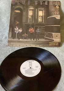 vintage vinly, Blue Steel, Promo Copy, 1981, #6E-309-13, Asylum records - Picture 1 of 4