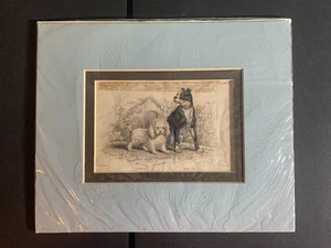 Antiker Druck MIT Passepartout - Bulldogge und Pudel Stewart Dell - Original Authentic - Bild 1 von 1
