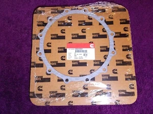 Cummins 4022497 Dichtung, Träger - Bild 1 von 2