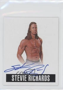 2014 Leaf Originals Wrestling Alternate Art Stevie Richards #A-SR2 Auto - Picture 1 of 4