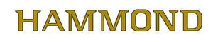 Hammond Organ Decal, #126340 Gold with Black Outline name board decal - Picture 1 of 3