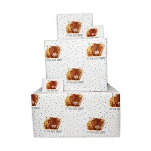 Birthday Wrapping Paper - Highland Cow - 2, 4, 6 Sheets & Tags, Card Available - Picture 1 of 37