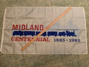 Rare Centennial Flag Midland Texas Home Of George And Laura Bush - Imagen 1 de 3