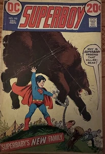 Superboy # 192 DC Comics Bronze-Age Issue Dec 1972 - Picture 1 of 2