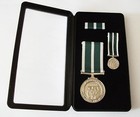 INTERNATIONAL AMBULANCE AND MEDICS MEDAL