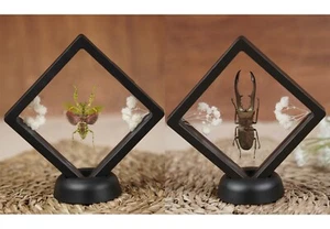 Taxidermy Mantis & Beetle 3D Floating Frame Display Gothic Home Decor - Picture 1 of 7