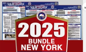 2025 New York NY ARBEITSRECHT POSTER (Bund & Staat) Konvolut. Versand heute! - Bild 1 von 3