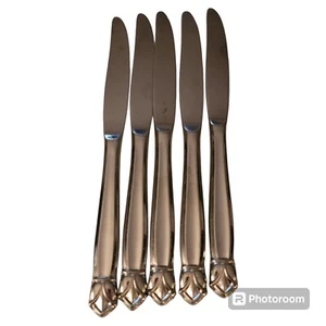 5 Reed And Barton Edelstahl Seerose moderne hohle Buttermesser Japan 9 Zoll - Bild 1 von 5