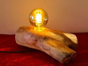 Tischlampe Stehlampe Baumstamm Unikat Holz mit LED Leuchtmittel - Bild 1 von 9
