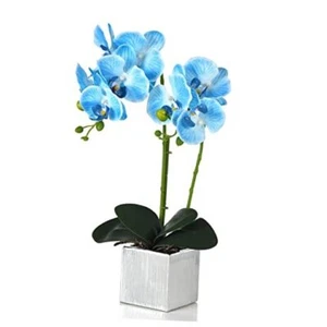 Artificial Potted Orchid Faux Phalaenopsis Silk Flowers Bonsai A/Ceramic-blue - Picture 1 of 8