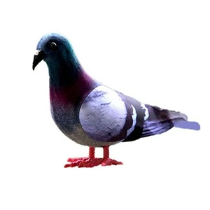 Simulation Pigeon Artificial Educational Toys Fake Foam Imitation Bird - Picture 1 of 13