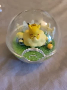 Pokemon Mareep And Pikachu Terrarium - Picture 1 of 2