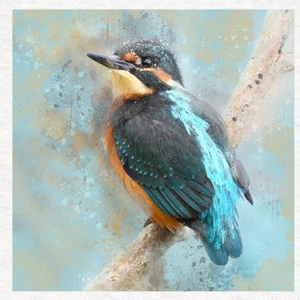 Bird - Kingfisher Baby Blue Fabric Craft Panels in 100% Cotton or Polyester - Picture 1 of 1
