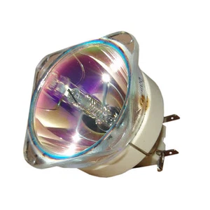 NUEVA BOMBILLA DE PROYECTOR COMPATIBLE PARA OPTOMA X501 DAEXTKZ BL-FU310C PM484-2400 - Imagen 1 de 3
