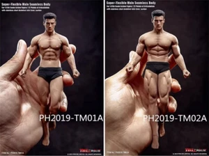 1/12 TBLeague TM02A 01A Phicen Male Seamless Muscular Body w/ Head Action Figure - Picture 1 of 23