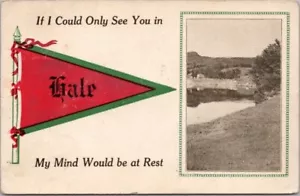 1913 HALE, Michigan Pennant Greetings Postcard "If I Could Only See You--" - Bild 1 von 2
