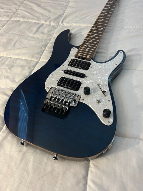 SCHECTER SD-II-24-AS 日本買付 楽器 | bca.edu.gr