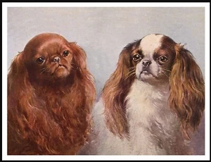 KING CHARLES TOY SPANIEL DOGS HEAD STUDY VINTAGE STYLE DOG PRINT POSTER - Picture 1 of 1