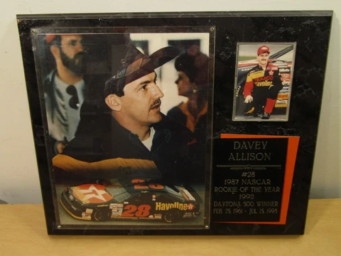 Davey Allison plaque 15in by 12in 1987 rookie and 1992 Daytona winner Cover