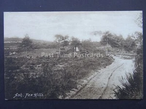 Surrey ASH Fox Hills um 1908 alte Postkarte (Sepia) von Frith 54901 - Bild 1 von 2