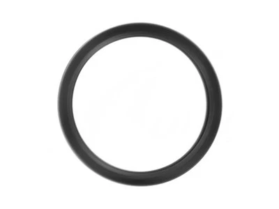 O-ring de tomada de água Chevrolet Uplander 2006-2008 81225HGXH 2005 2007 3.9L V6 - Imagem 1 de 2